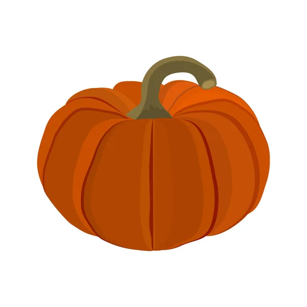 Citrouille d'Halloween sur fond blanc — Image vectorielle