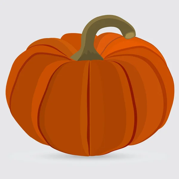 Zucca di Halloween su sfondo bianco — Vettoriale Stock