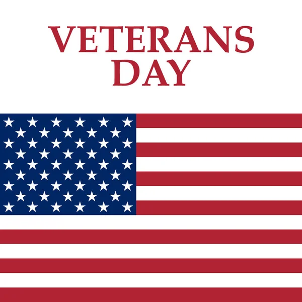 Veterans Day in de Verenigde Staten van Amerika — Stockvector