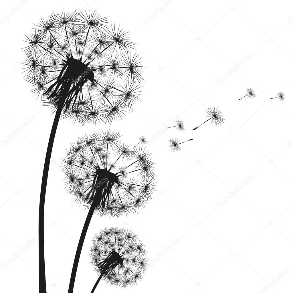 Silhouette of a dandelion