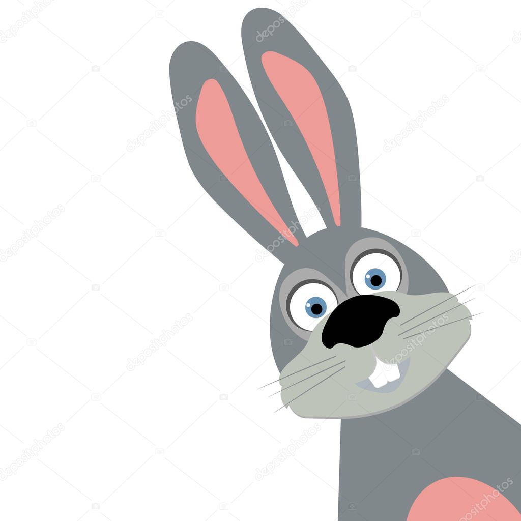 Funny easter bunny on a white background