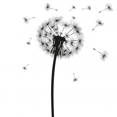 Bir karahindiba silüeti