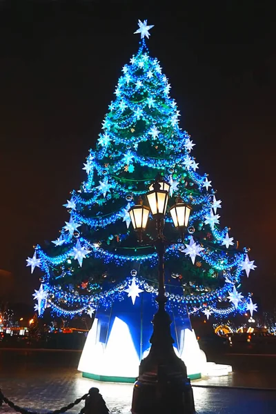 Árbol de Navidad en iluminación de luz festiva — Foto de Stock