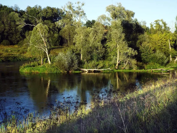 Fourche de rivière avec des arbres verts sur les rives paysage relaxant — Photo