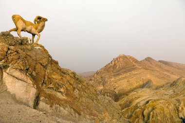 tarihi palms Sahara Tamaqzah Tunus vaha