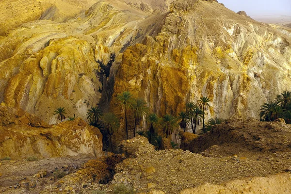 View of the waterfall oasis Shebika Tunisia horizontal — Stock Photo, Image