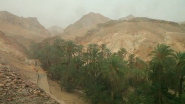 Oasis tarihi palms Sahara Tamerza Kanyon Tunus Chebika yağmur