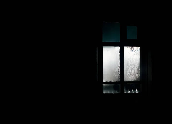 Misted para fora da janela no quarto escuro com galhos da árvore — Fotografia de Stock