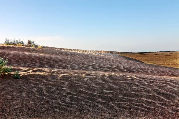 언덕과 barkhans 사하라 사막 튀니스의 큰 뜨거운 사막 북쪽 아프리카 대륙 — 스톡 사진