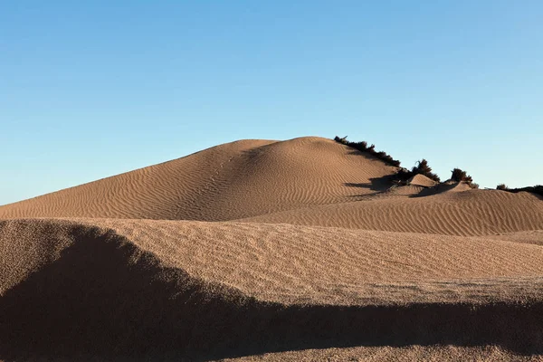 Duny a barkhans Sahary poušť největší horké pouště severní Afriky kontinentu z Tunisu — Stock fotografie