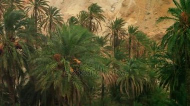 Cezayir Atlas Dağları ile tarihi palms Sahara Tamaqzah Tunus sınır vaha yağmur