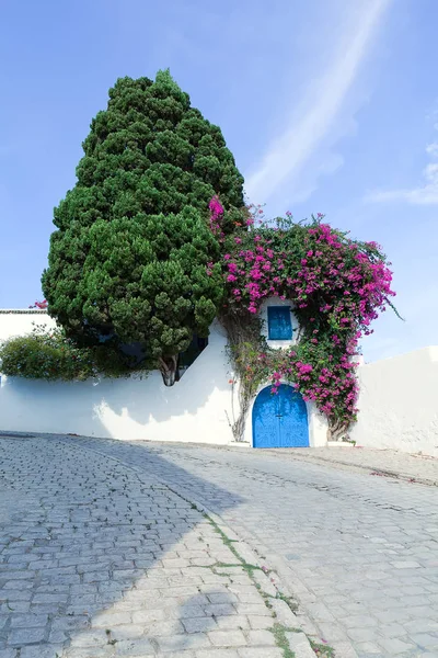 Parte de ruas de paralelepípedos de casa decorada com flores e vegetação — Fotografia de Stock
