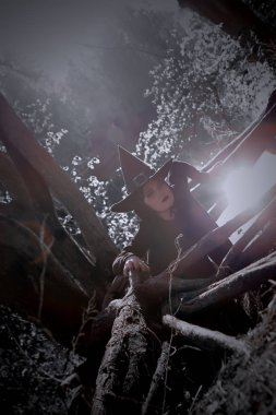 siyah sivri şapka karanlık ormanda cadı