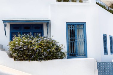 Tunus Doğu avlu ev beyaz duvarları ve mavi pencere kapı ile bitkiler ile dekore edilmiştir.