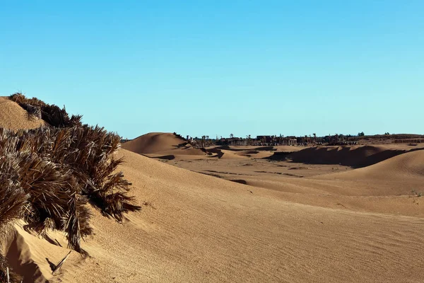 Duny Barkhans Sahary Poušť Největší Horké Pouště Severní Afriky Kontinentu — Stock fotografie