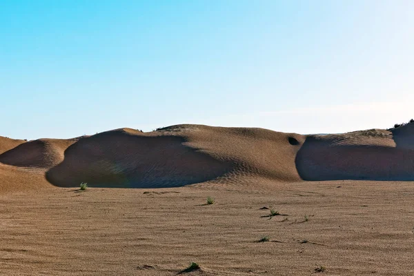 Duny Barkhans Sahary Poušť Největší Horké Pouště Severní Afriky Kontinentu — Stock fotografie