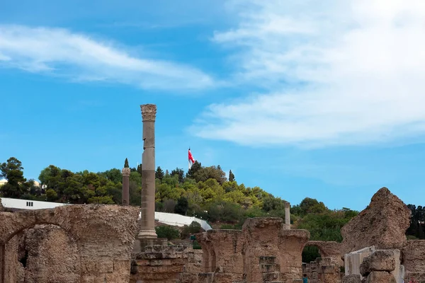 Ruïnes Van Oude Romeinse Baden Buurt Van Stad Van Carthago — Stockfoto