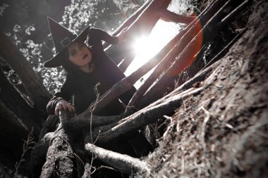 siyah sivri şapka karanlık ormanda cadı