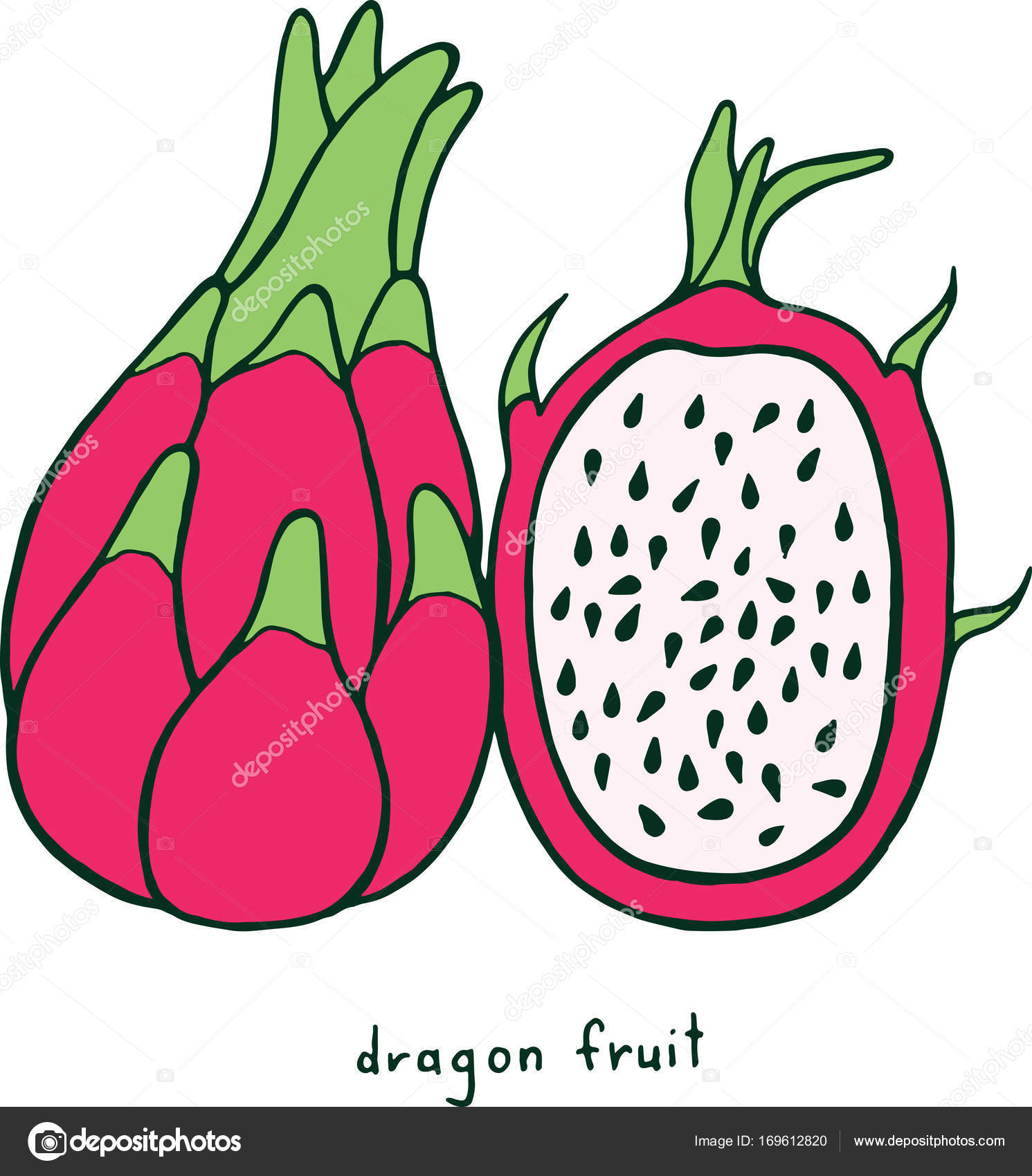 Desenhos de frutas do dragão para colorir - Páginas para colorir