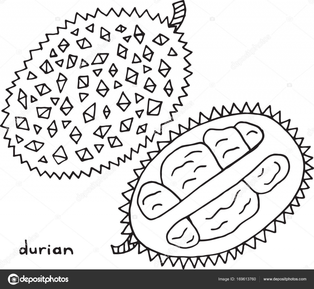 Pagina da colorare di Durian Arte grafica vettoriale bianco e nero per libri da colorare per adulti Illustrazione al tratto frutta tropicale ed esotica