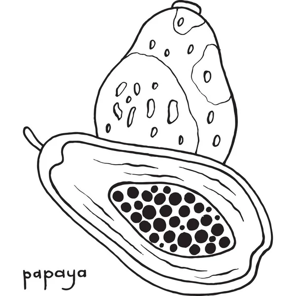 Papaya színező oldal. Fekete-fehér grafikus vektor art Col — Stock Vector