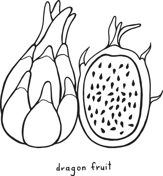 Drachenfrucht Malseite. Grafik-Vektor Schwarz-Weiß-Kunst — Stockvektor