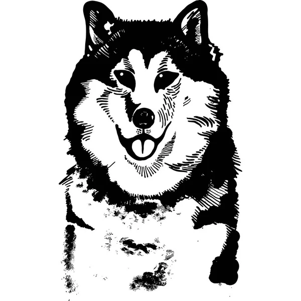 Encre Husky dessinée à la main illustration vectorielle noir et blanc — Image vectorielle