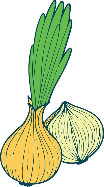 Onion coloring page hand drawn illustration for adult and child — стоковый вектор