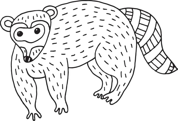 Forest animal raccoon doodle cartoon simple illustration. kids d — Stock Vector