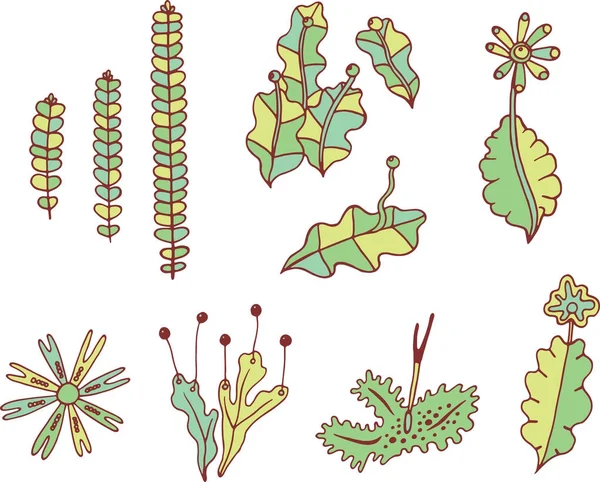 Mooselemente sammeln. Farbige Doodle-Pflanzen und Branche — Stockvektor