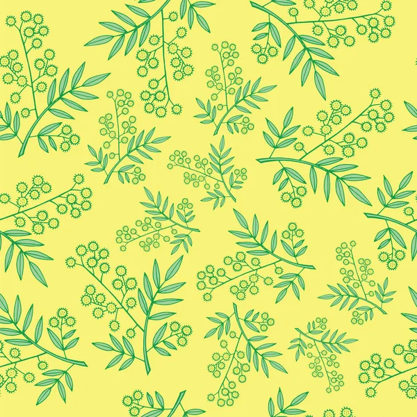 Ramas Mimosa patrón sin costuras. Dibujos animados y garabatos estilo espalda — Archivo Imágenes Vectoriales