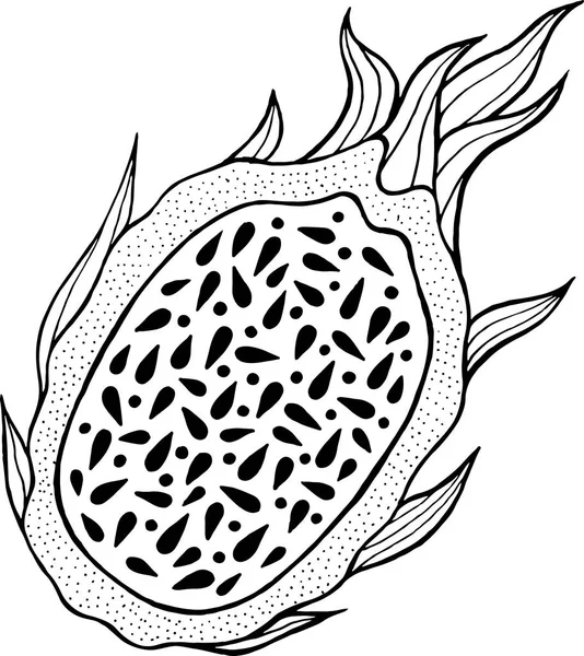 Coloriage de fruits du dragon. Art de ligne pour les livres à colorier pour adul — Image vectorielle