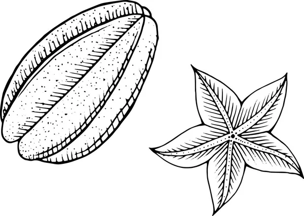 Coloriage Starfruit. Art linéaire pour livres à colorier pour adultes . — Image vectorielle