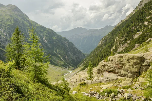 Senderismo en los Alpes suizos — Foto de Stock