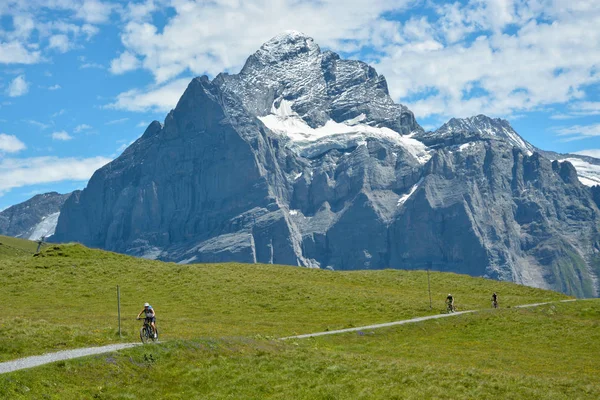 İsviçre Grindelwald yakınındaki bisiklet gezisi — Stok fotoğraf