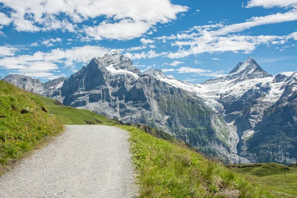 スイス アルプスの雄大な峰 — ストック写真