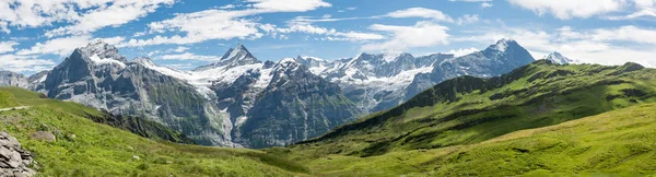 Bermesische Alpen bei Grindelwald in der Schweiz — Stockfoto