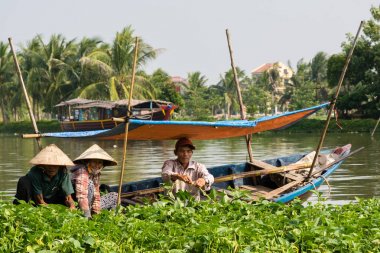 Vietnam işçi bitkileri Hoi An, Vietnam işleme
