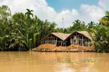 Mekong Deltası'nda işlenen Hindistan cevizi için eski depo