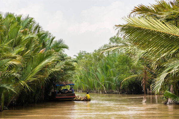 Young worker transporting coconuts on a small boat on river
