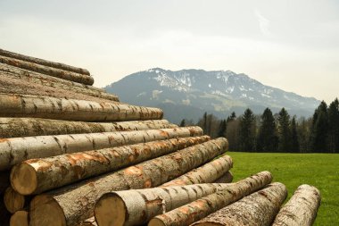 Günlükleri hiking trail Entlebuch biyosfer rezerv yakınındaki yığını