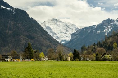 4158 metre yüksekliğindeki görkemli Jungfrau göz Bernese Alpleri'nde