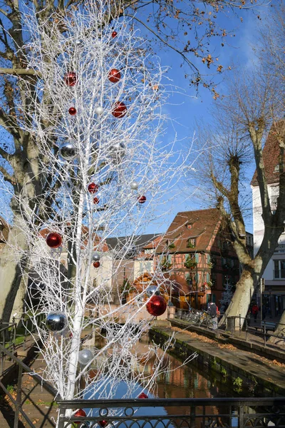 Kerstboom in de prachtige stad Colmar in Frankrijk — Stockfoto