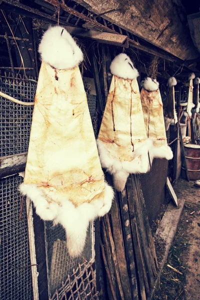 Peles de coelho penduradas nos ganchos da fazenda, filtro de foto retro — Fotografia de Stock