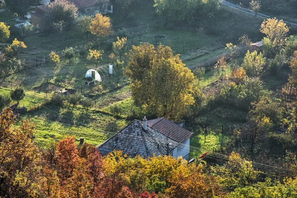 Close up photo of rural scene, seasonal natural theme — Stock Photo, Image