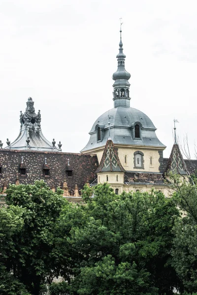 Zbliżenie zdjęcie Zamku Vajdahunyad w Budapest, Węgry — Zdjęcie stockowe