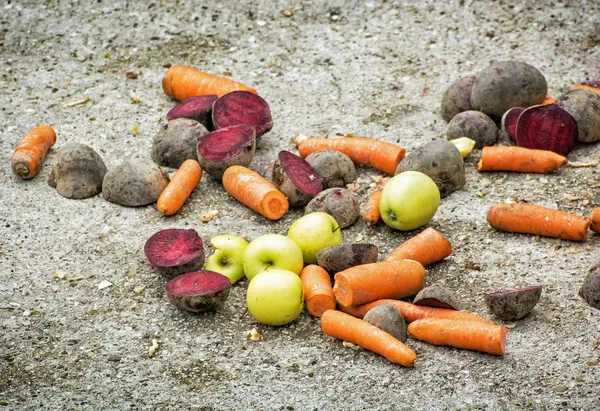 Świeże warzywa na ziemi — Zdjęcie stockowe