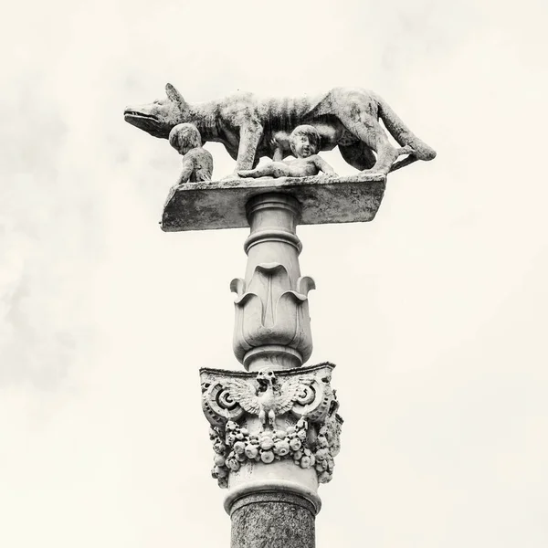 Lobo Capitolino amamantando a los gemelos Rómulo y Remo, Siena —  Fotos de Stock