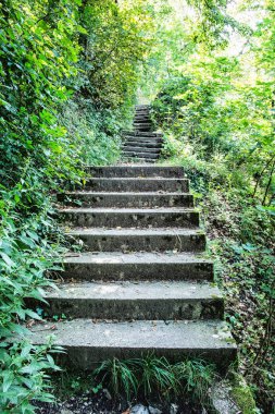 Ormandaki turist iz merdivenlerde uçmuş