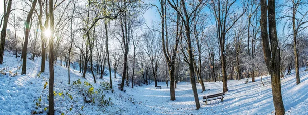 Parque nevado com sol no inverno, Nitra, Eslováquia — Fotografia de Stock